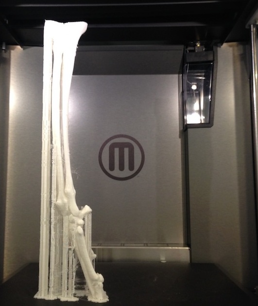 MakerBot Z18 Tall 3D Print